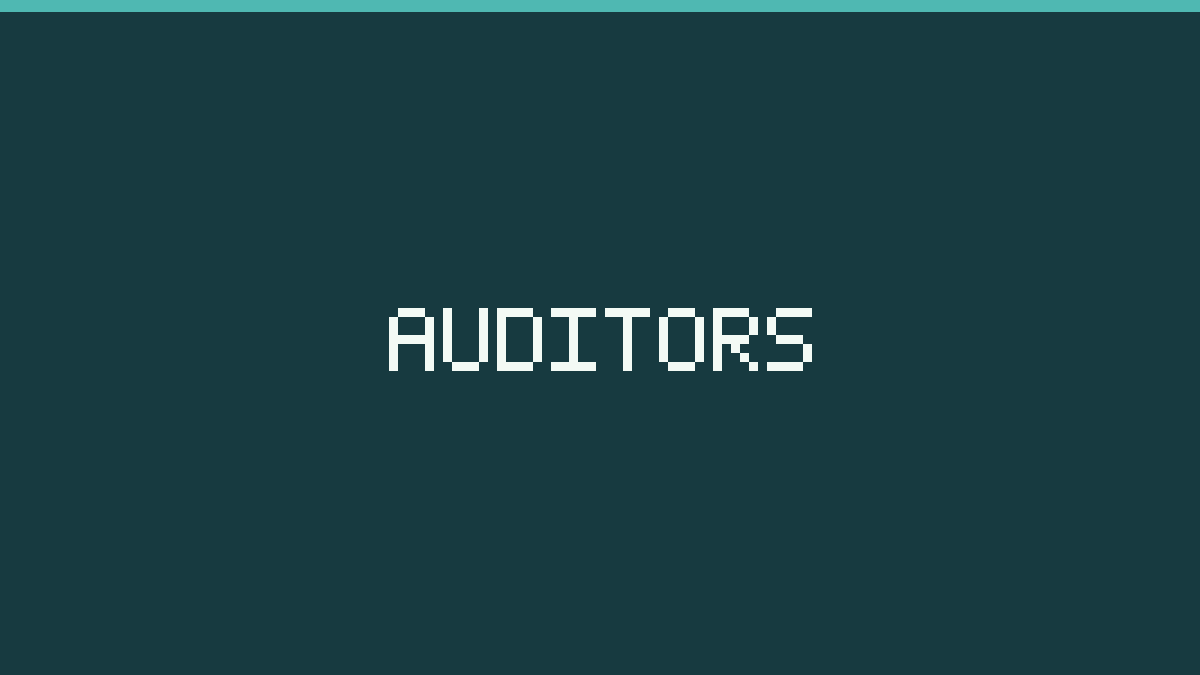 AuditWise placeholder card reading "Auditors" on the brand colour